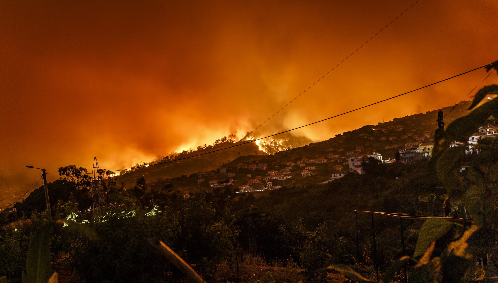 DISASTER FUND ACTIVATED IN THE WAKE OF NSW AND VIC BUSHFIRES