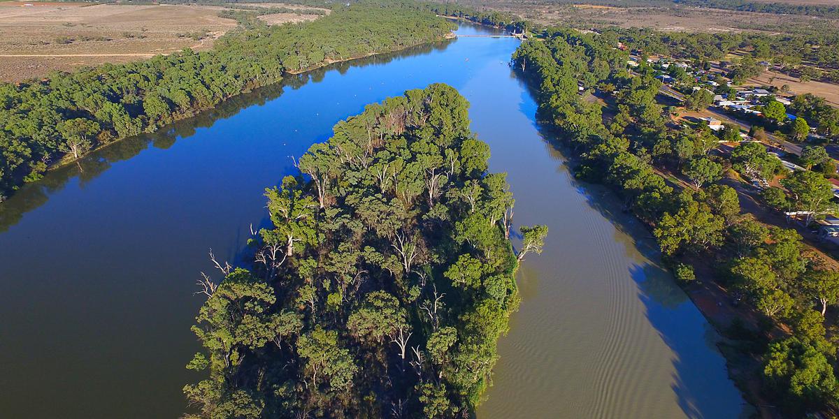 FOCUS ON THE MURRAY-DARLING BASIN