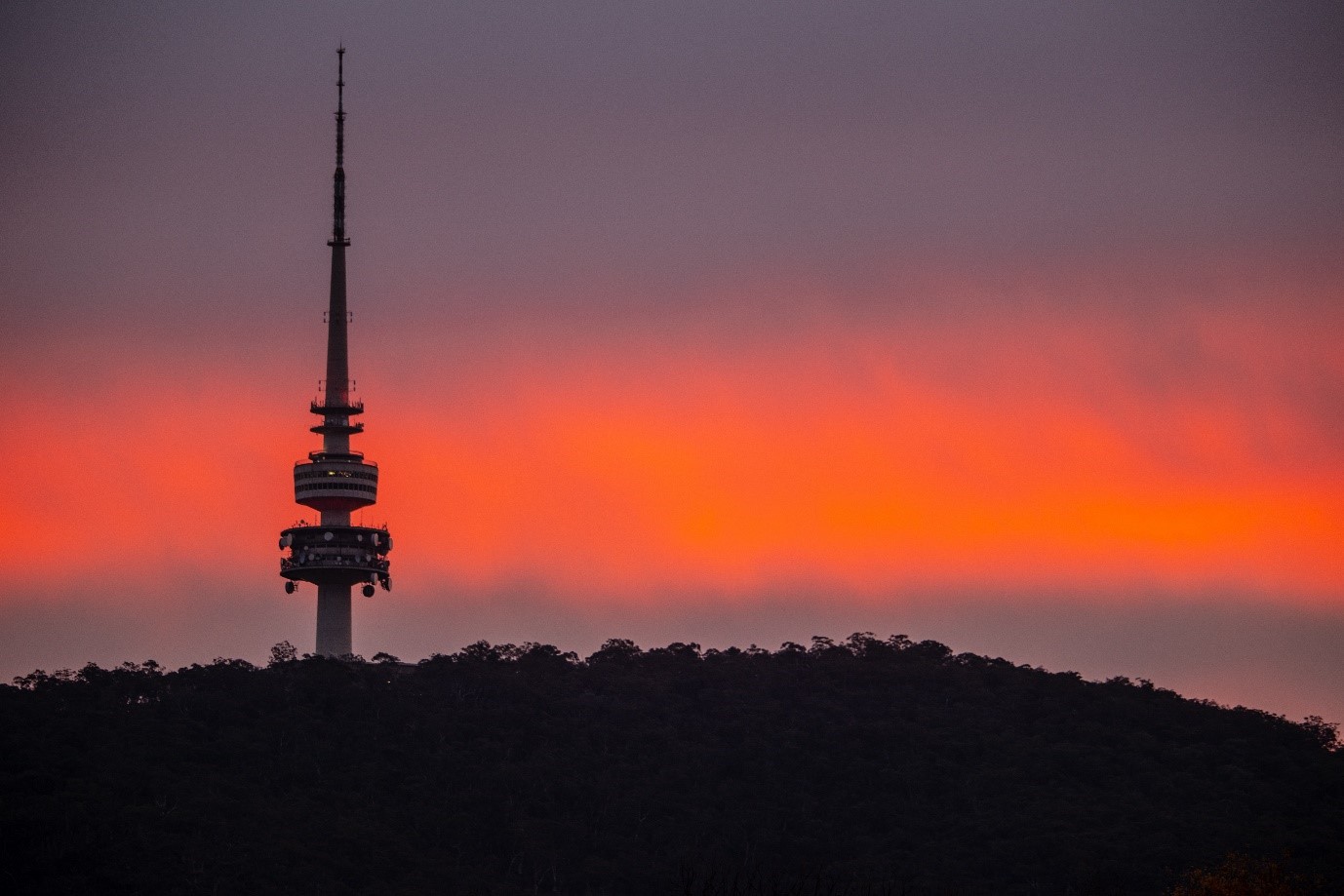 NEED TO KILL TIME IN CANBERRA?